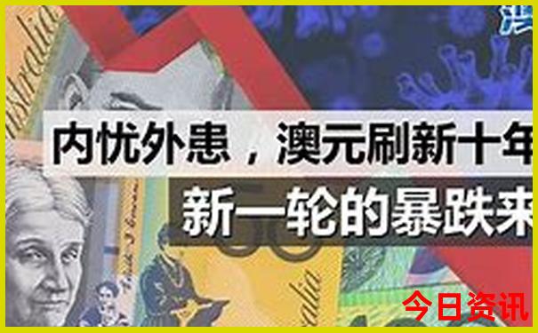 叶青演员个人资料